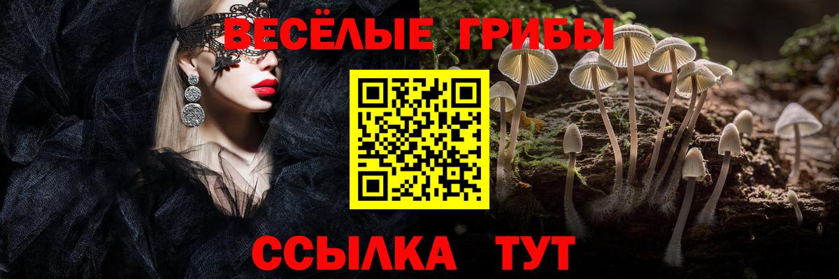 Клинцы  Галлюциногенные грибы Psilocybe  Вход с VPN  Псилоцибиновые грибы Magic Shrooms 